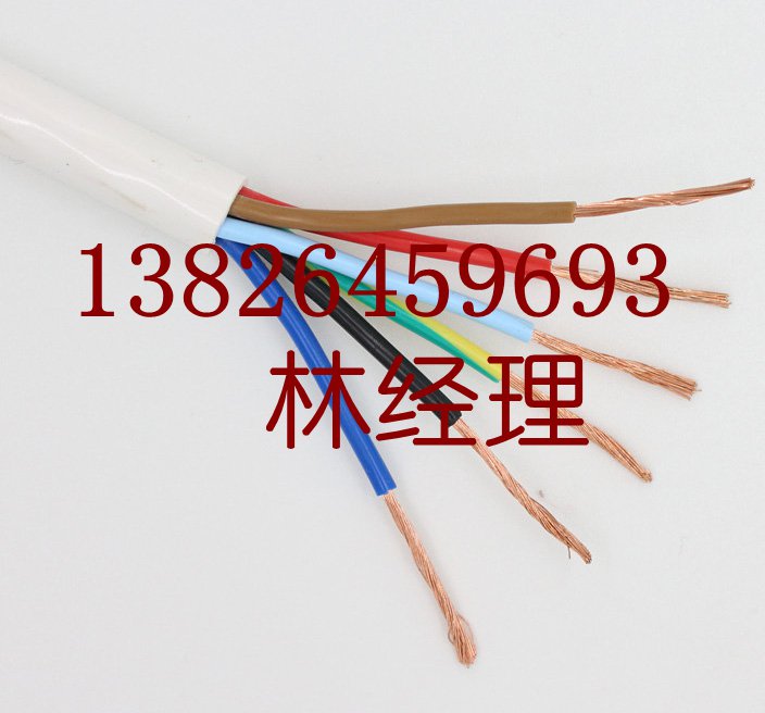 广东广州天虹电线电缆